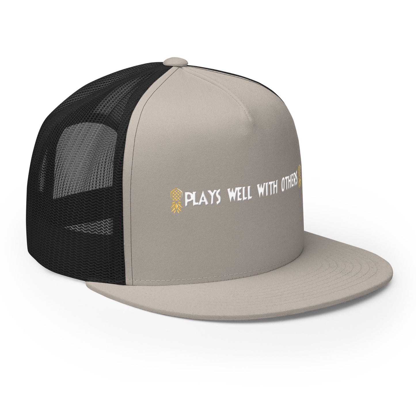 Plays Well With Others Snapback Hat | DK Apparel Lifestyle Headwear – DK Apparel lifestyle clothing