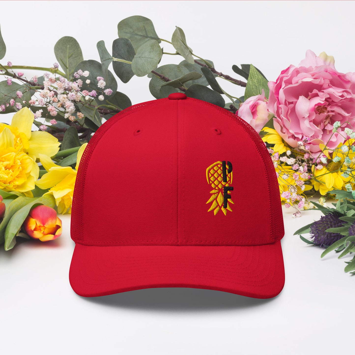 PF Adjustable Hat – Embroidered | Pineapple Fitness Lifestyle Headwear by DK Apparel – DK Apparel lifestyle clothing