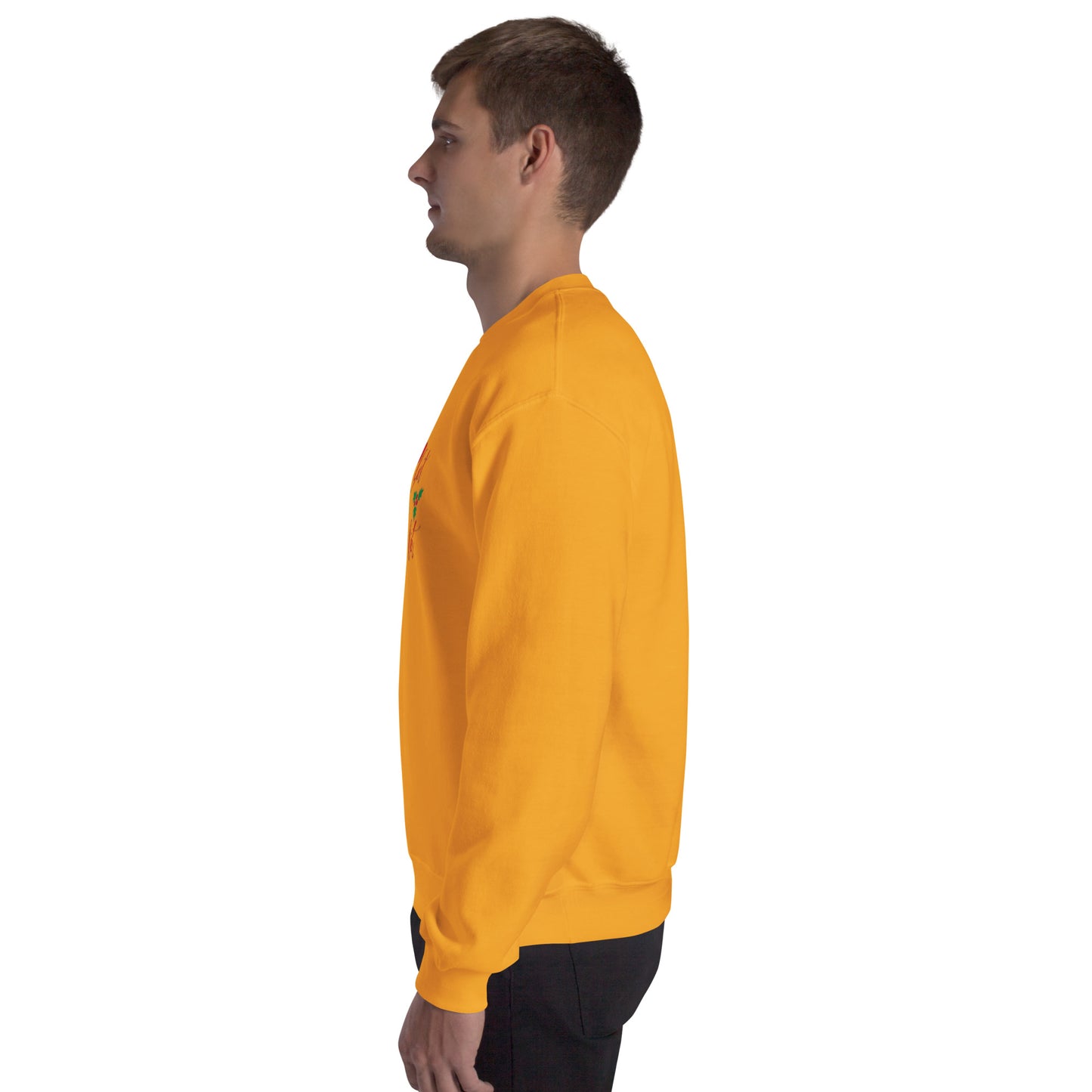 I Can Get You On The Naughty List Sweater – Funny Christmas Swinger Holiday Apparel | DK Apparel-DK Apparel